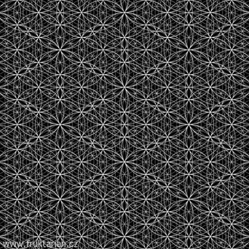 10590643_10152301250398907_2676716748881958905_n