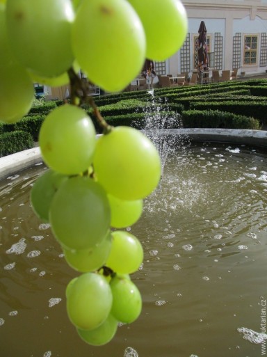 Hrozny ve společnosti krásných kreací vody, neustále v pohybu