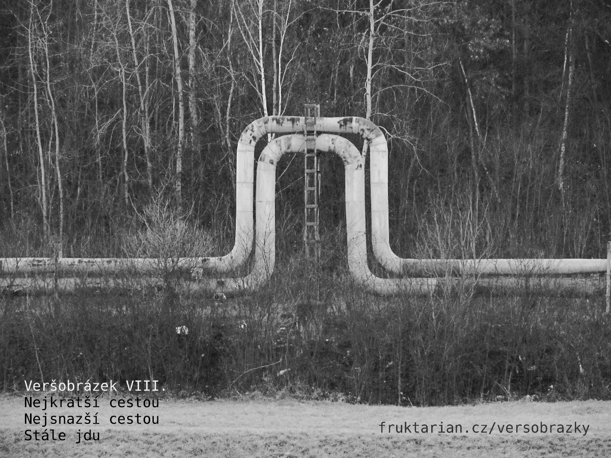versobrazek08_nejkratsi-cestou