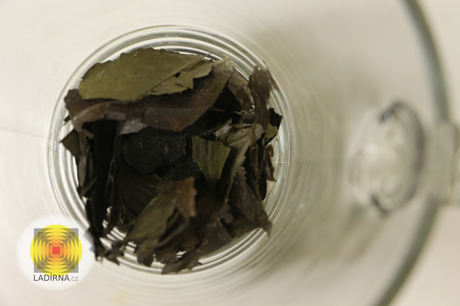 Amazonský čaj Wayusa, 30x extrakt, pasta - Obrázek 2