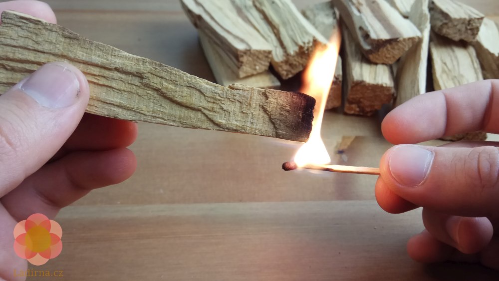 Vykuřovadlo Palo Santo ("Svaté dřevo") - celá dřívka - Obrázek 3