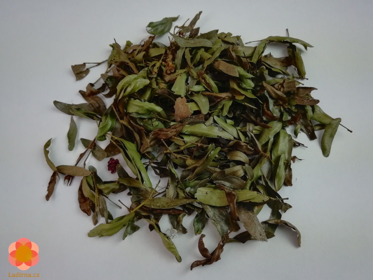 Bobinsana (Calliandra angustifolia), listy