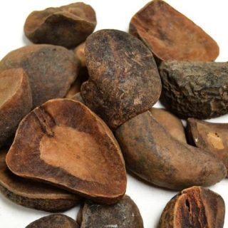 Celý kolový ořech (Cola acuminata), z Indonésie