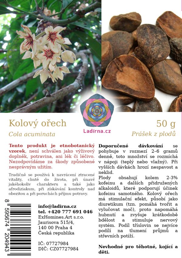 Kolový ořech (Cola acuminata), mletá jádra plodů - Obrázek 2