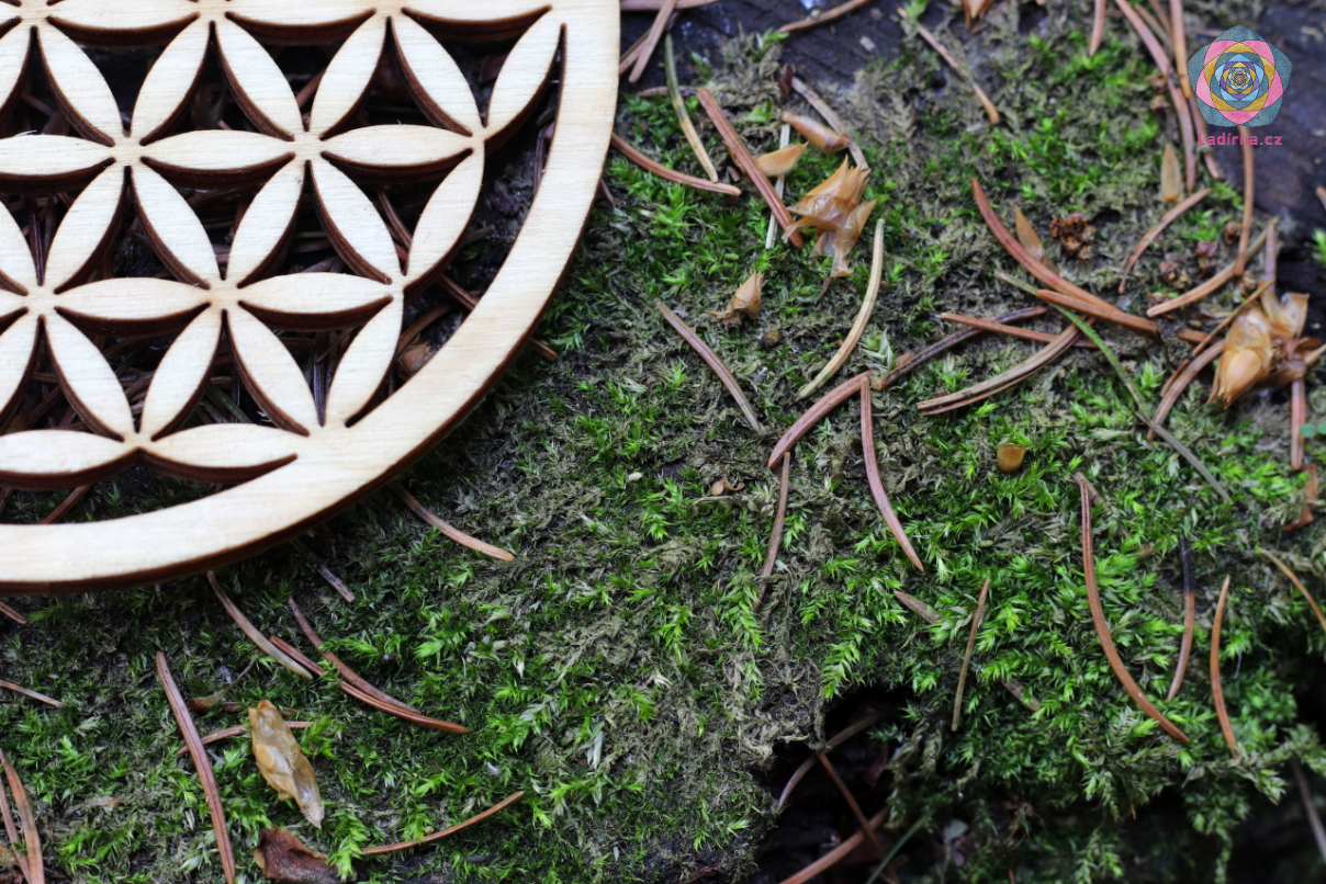 Dřevěný harmonizační Květ života 10 cm (dekorace, podložka, na stěnu...) - Obrázek 5