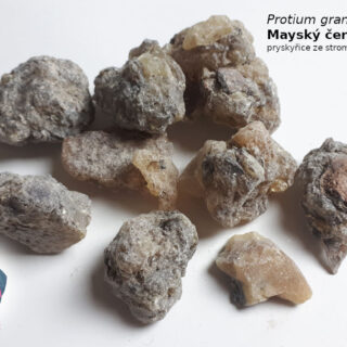 Mayský černý kopál - Protium grandifolium (pryskyřice, vykuřovadlo)