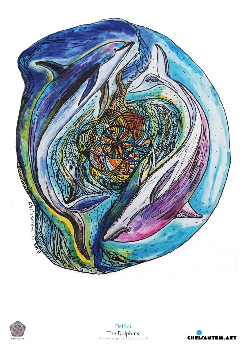 Pohlednice A5 Delfíni