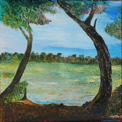 Chrisantem Macháček: Obraz „Řeka Malá Rhôna“, 100×100 cm, Francie 2020