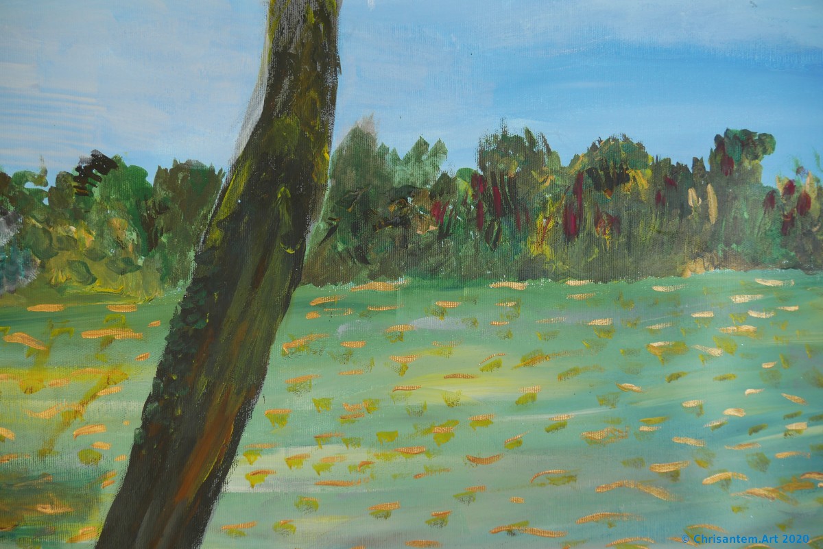 Chrisantem Macháček: Obraz „Řeka Malá Rhôna“, 100×100 cm, Francie 2020 - Obrázek 7