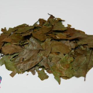 Banisteriopsis Caapi, sušené listy