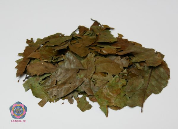 Banisteriopsis Caapi, sušené listy