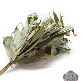 Chacapa (amazonská ceremoniální "chřestítka")