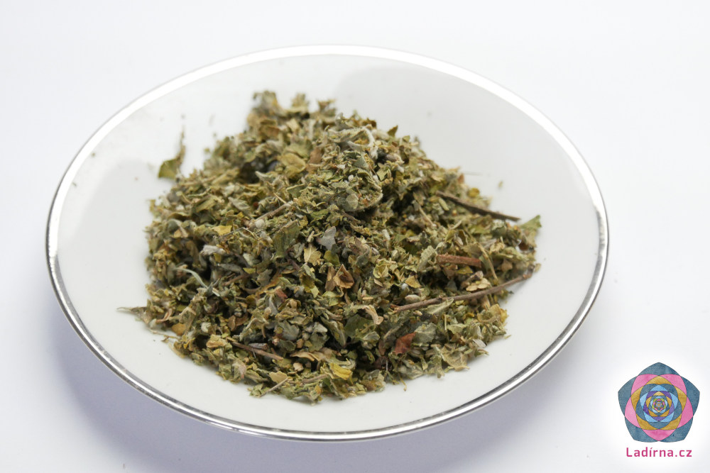 Damiana (Turnera diffusa), drcená
