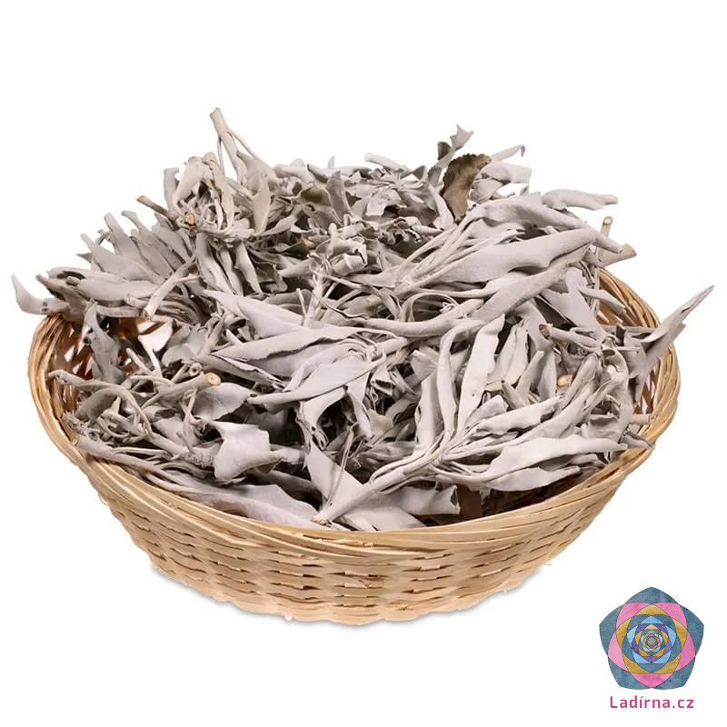 Vykuřovadlo bílá šalvěj - stonek s listy