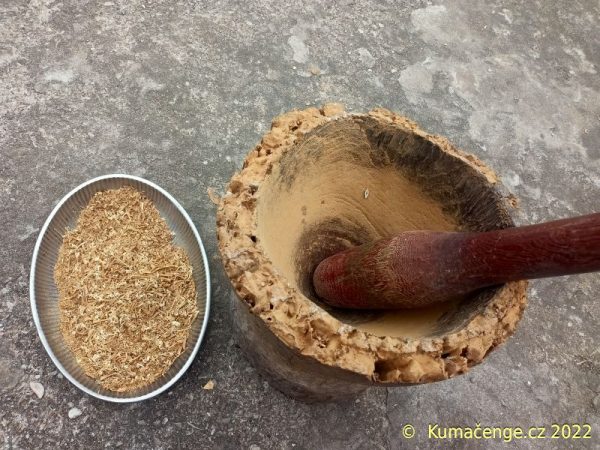 Tabernanthe Iboga, od strýce Arnauda, drť z kořenové kůry (VÝBORNÁ KVALITA) - Obrázek 6