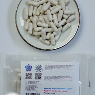 Psyllium (Plantago ovata) - čistá rozpustná vláknina, kapsle, 60 ks