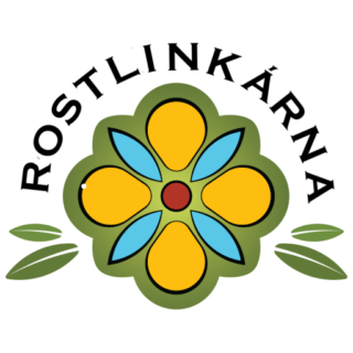 Aktuální sbírka