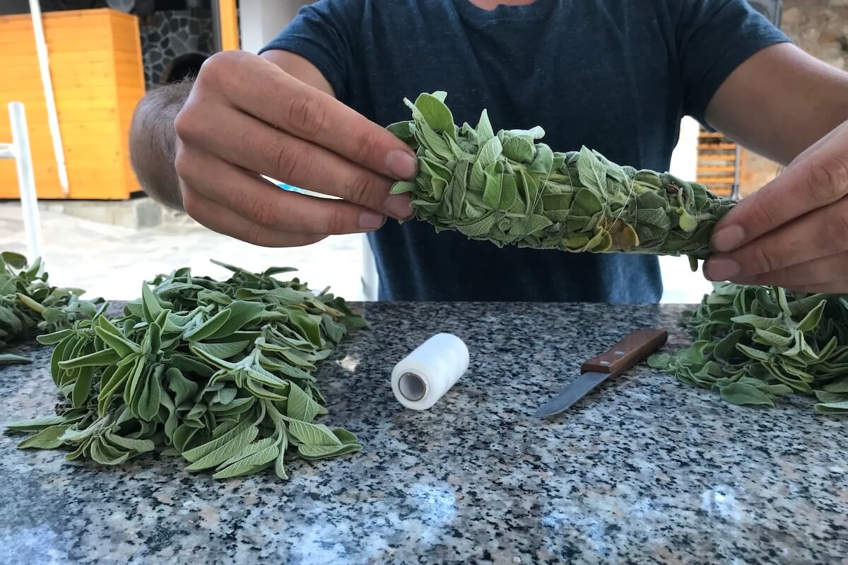 Šalvěj řecká - vykuřovací svazek z Albánie od Pavla - Obrázek 5