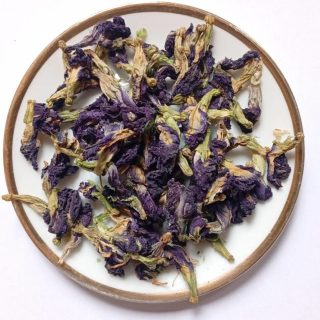 Klitorie ternatská (Clitoria ternatea) - "Modrý čaj" (Butterfly pea tea)