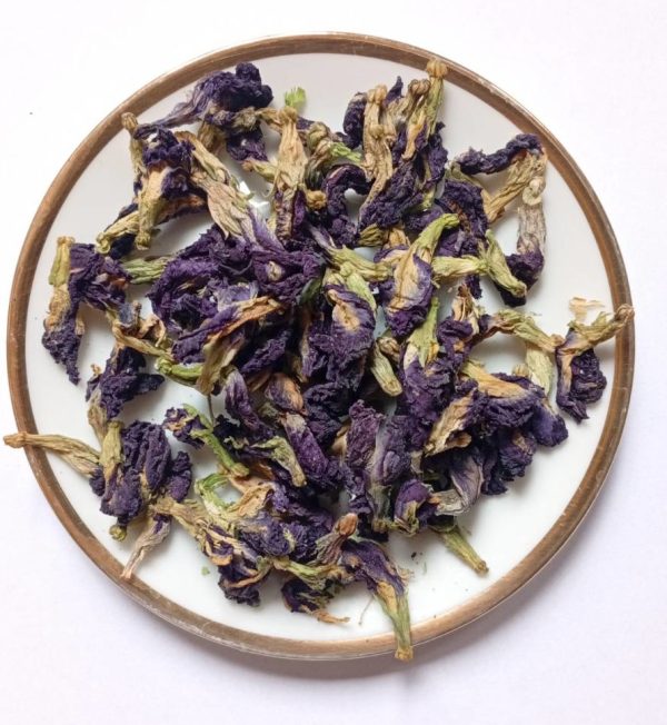 Klitorie ternatská (Clitoria ternatea) - "Modrý čaj" (Butterfly pea tea)