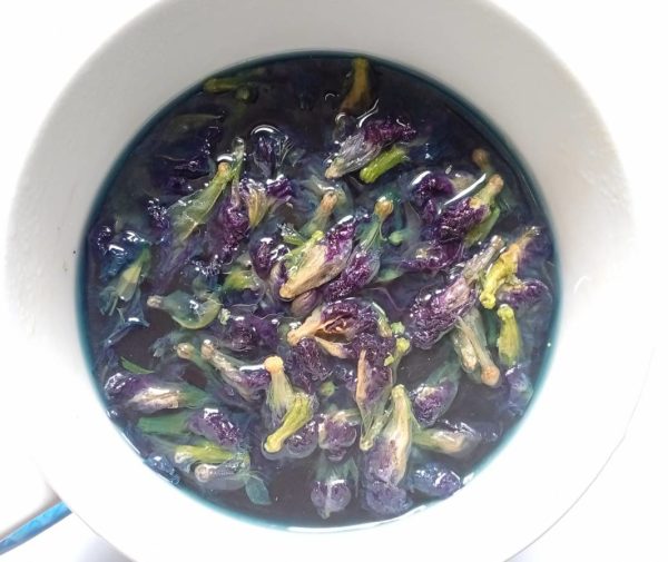 Klitorie ternatská (Clitoria ternatea) - "Modrý čaj" (Butterfly pea tea) - Obrázek 2